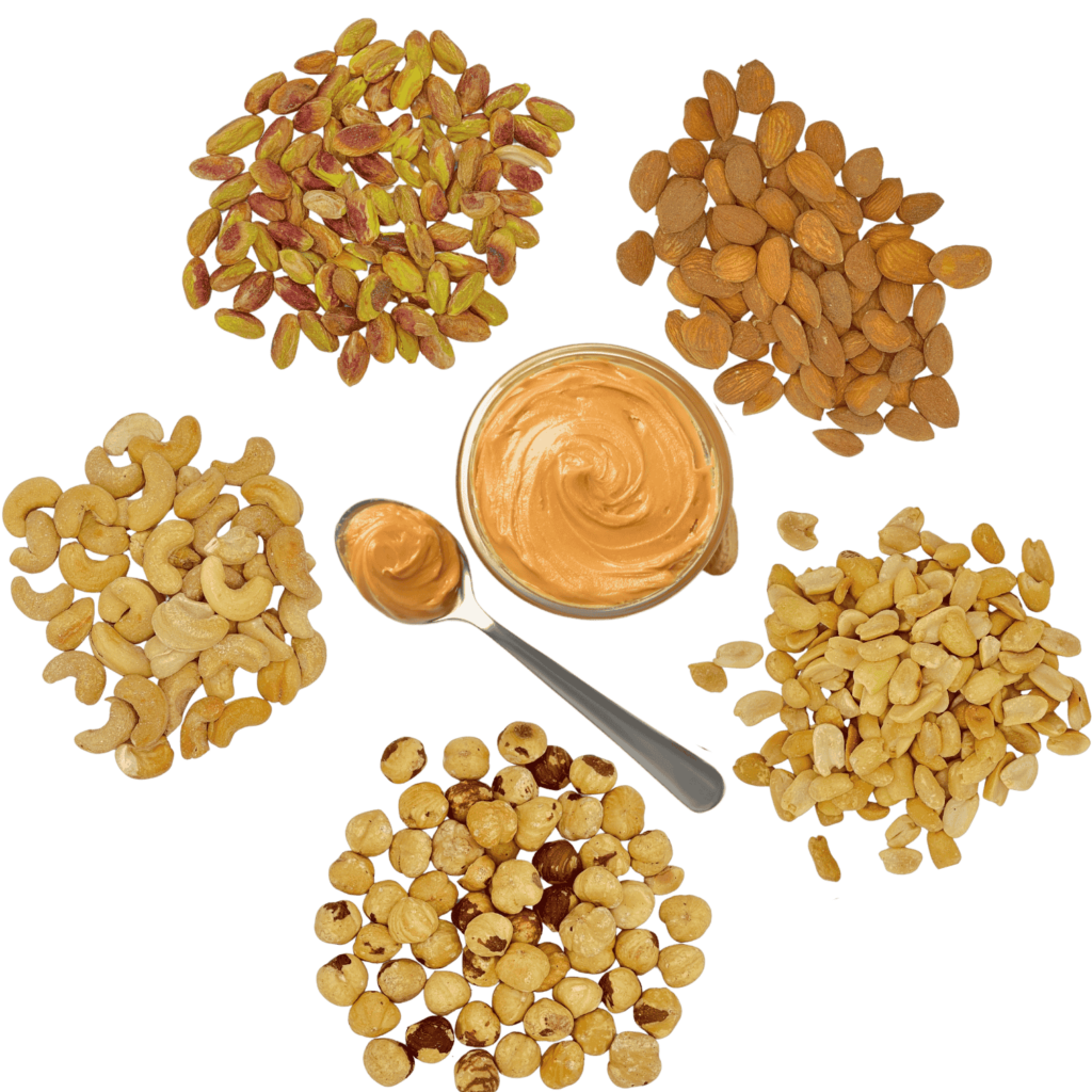 nuts-1024x1024